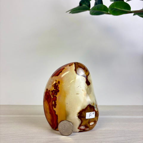 Polychrome Jasper Free Form