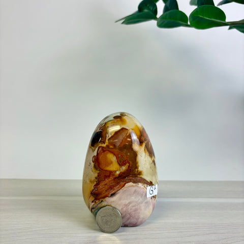 Polychrome Jasper Free Form
