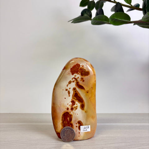 Polychrome Jasper Free Form