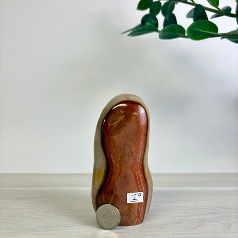 Polychrome Jasper Free Form