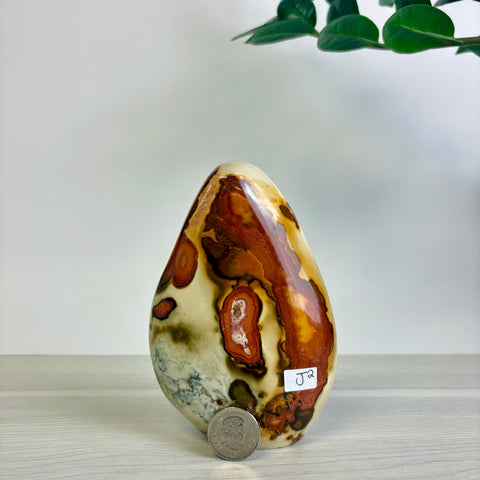Polychrome Jasper Free Form