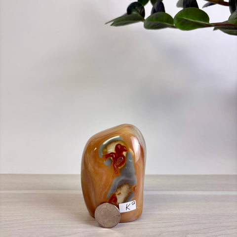 Polychrome Jasper Free Form