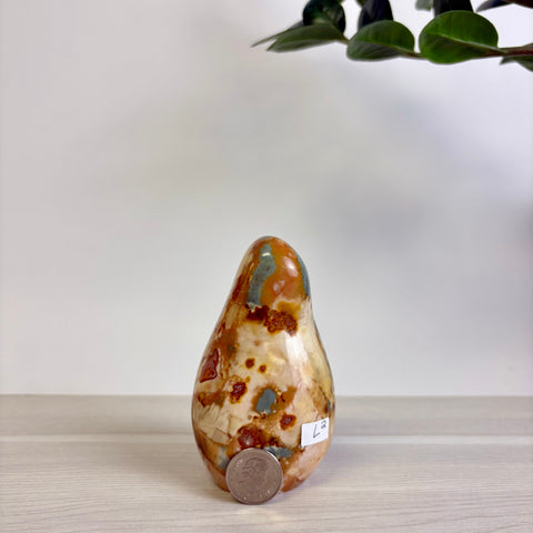 Polychrome Jasper Free Form