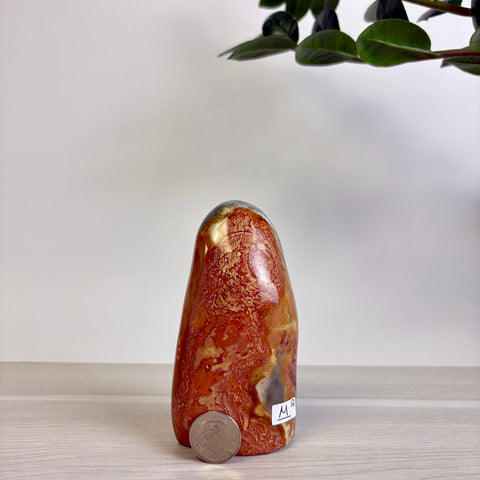 Polychrome Jasper Free Form