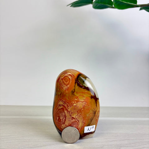 Polychrome Jasper Free Form