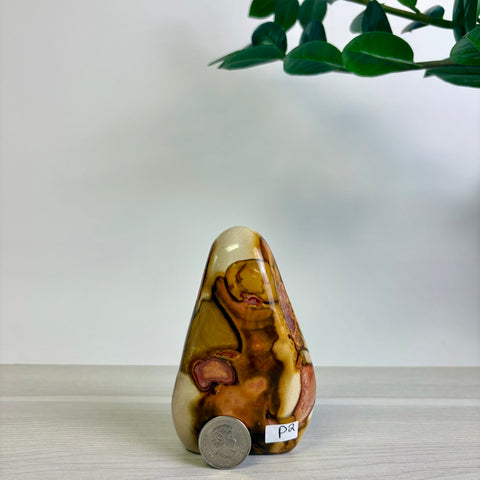 Polychrome Jasper Free Form