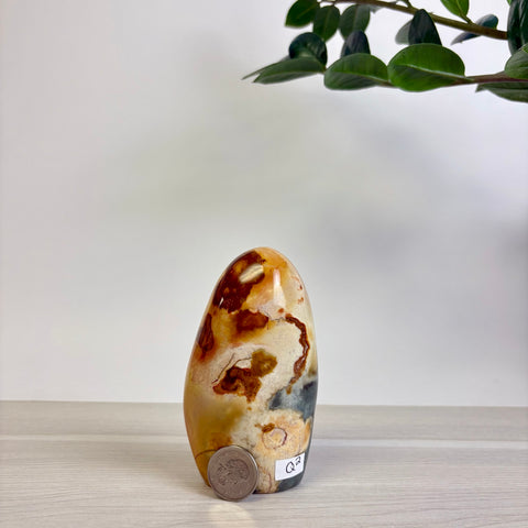 Polychrome Jasper Free Form