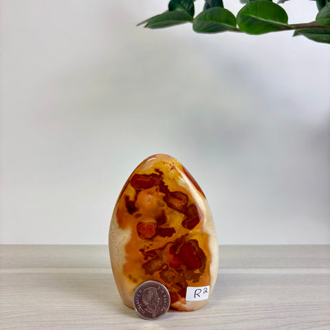 Polychrome Jasper Free Form
