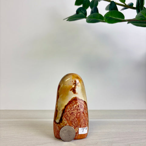 Polychrome Jasper Free Form
