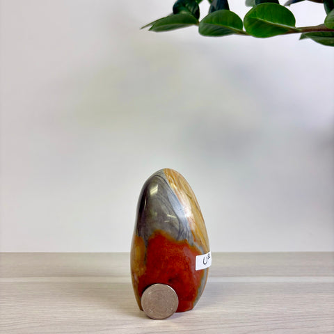 Polychrome Jasper Free Form