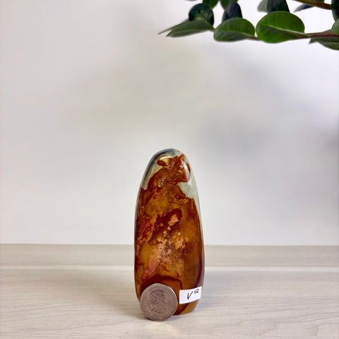 Polychrome Jasper Free Form