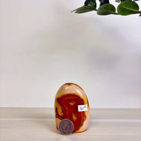 Polychrome Jasper Free Form