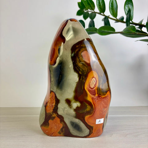 Polychrome Jasper Free Form