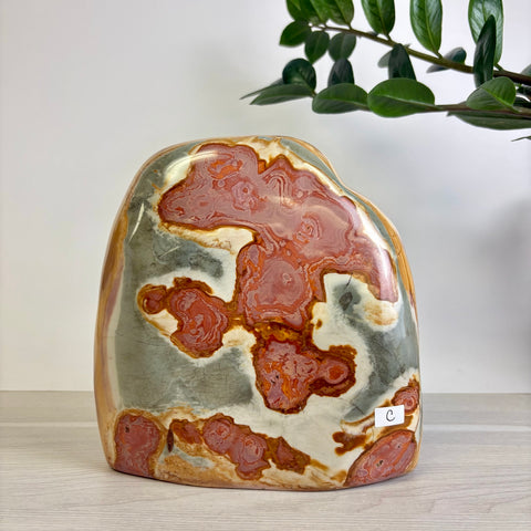 Polychrome Jasper Free Form