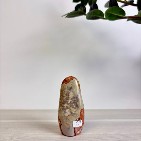 Polychrome Jasper Free Form