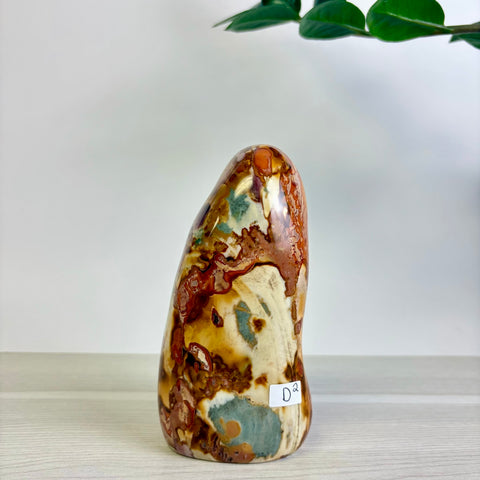 Polychrome Jasper Free Form