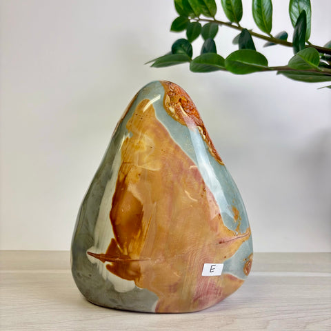 Polychrome Jasper Free Form