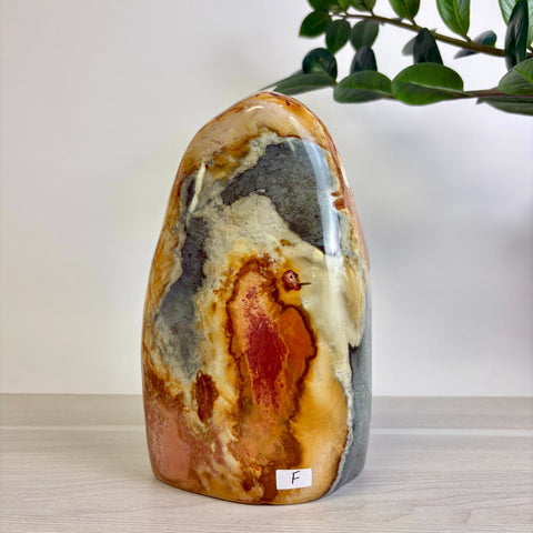Polychrome Jasper Free Form