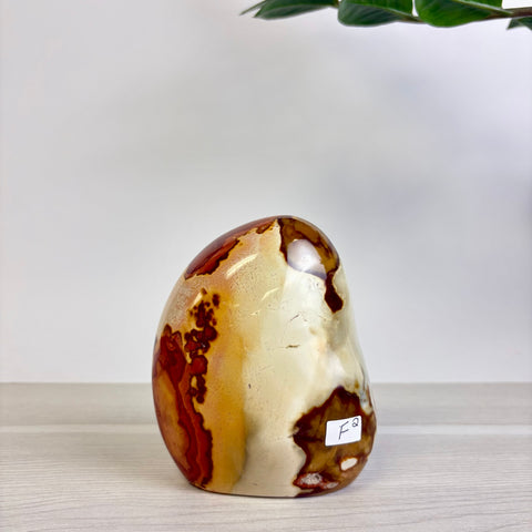 Polychrome Jasper Free Form
