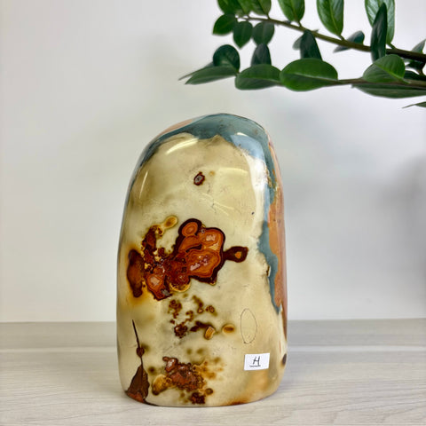 Polychrome Jasper Free Form
