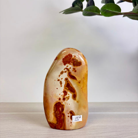 Polychrome Jasper Free Form