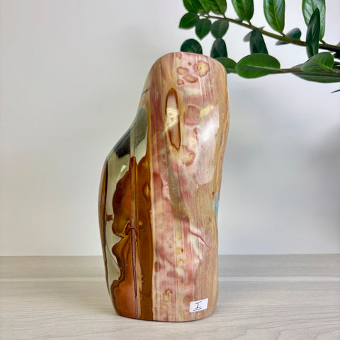 Polychrome Jasper Free Form