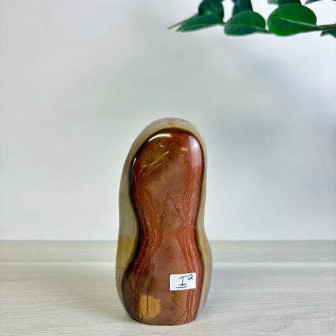 Polychrome Jasper Free Form