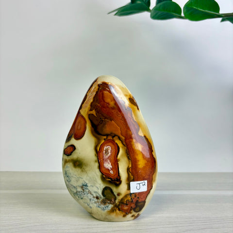 Polychrome Jasper Free Form