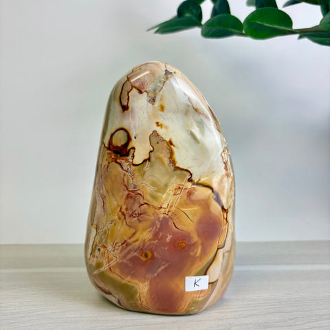 Polychrome Jasper Free Form