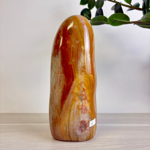 Polychrome Jasper Free Form
