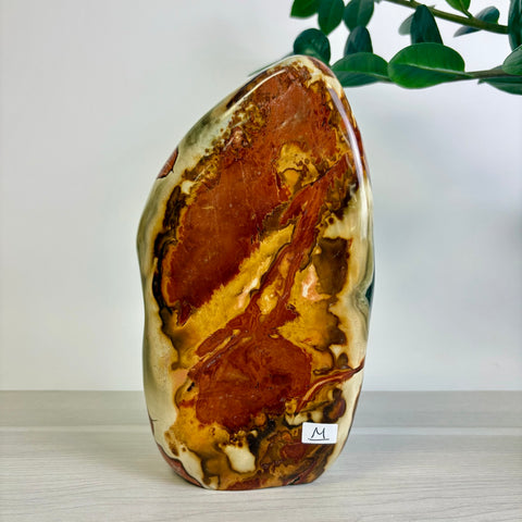 Polychrome Jasper Free Form