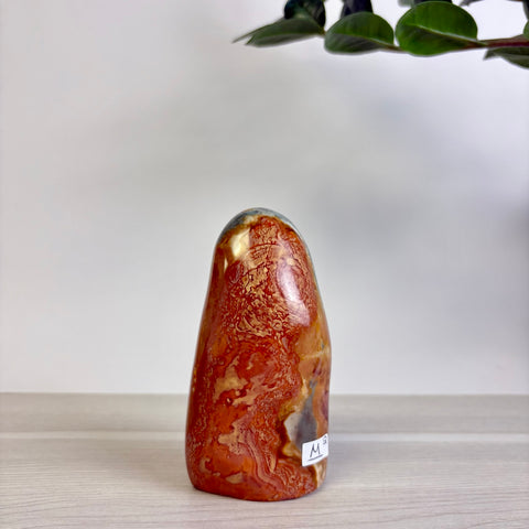 Polychrome Jasper Free Form