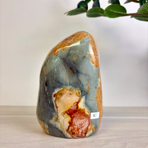 Polychrome Jasper Free Form
