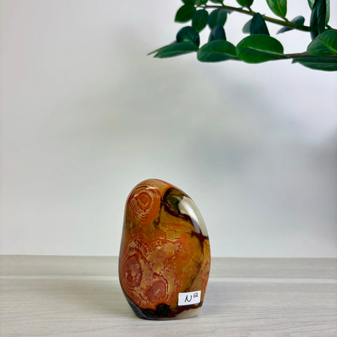 Polychrome Jasper Free Form