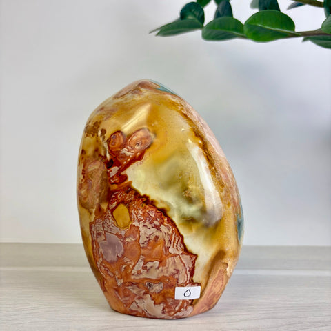 Polychrome Jasper Free Form