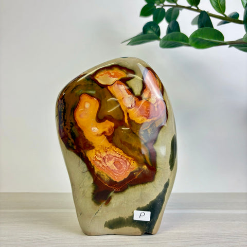 Polychrome Jasper Free Form