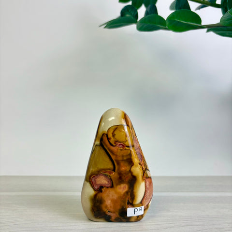 Polychrome Jasper Free Form