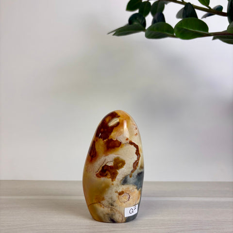 Polychrome Jasper Free Form
