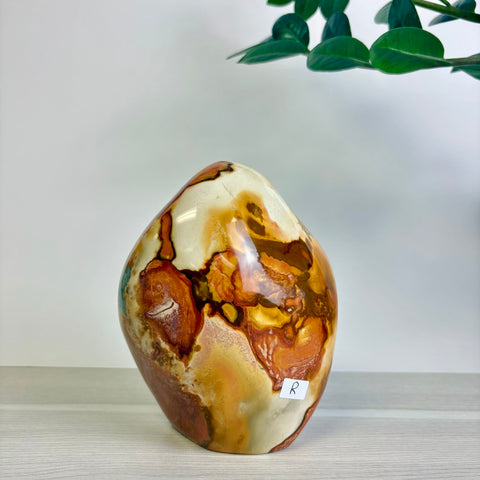 Polychrome Jasper Free Form