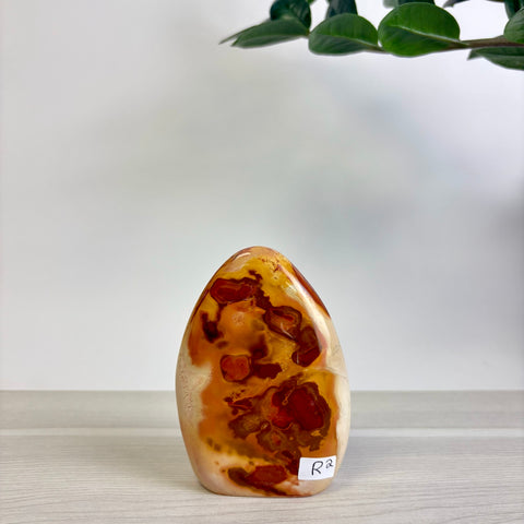 Polychrome Jasper Free Form