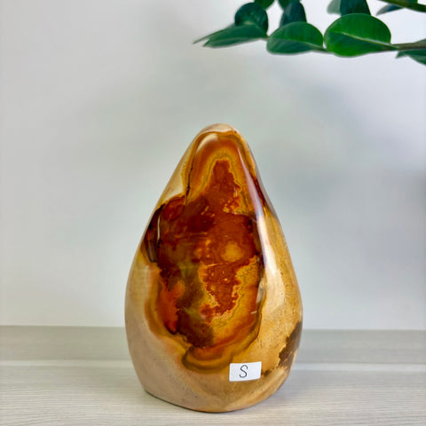 Polychrome Jasper Free Form