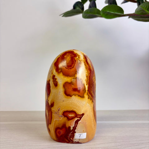 Polychrome Jasper Free Form