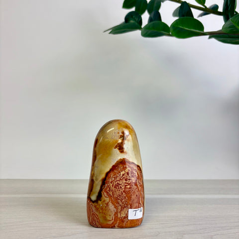 Polychrome Jasper Free Form