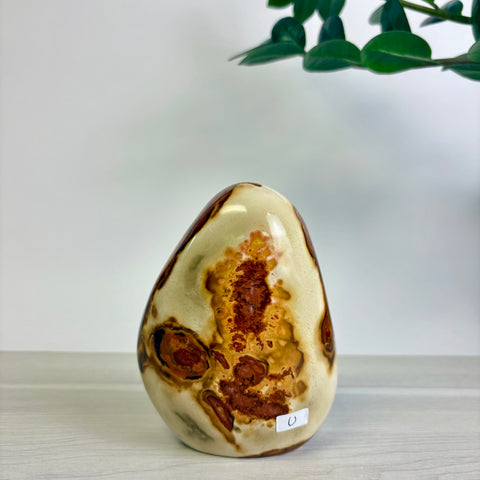 Polychrome Jasper Free Form