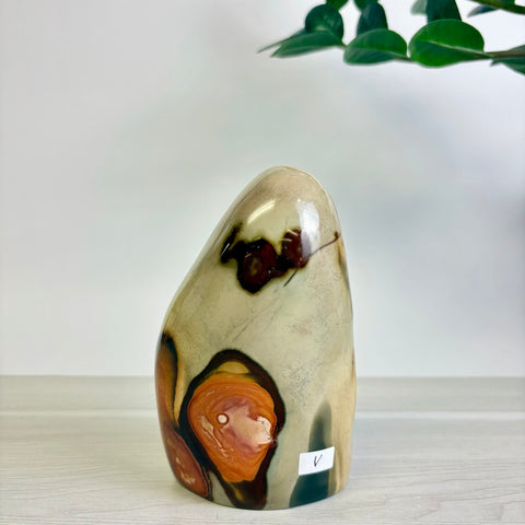 Polychrome Jasper Free Form