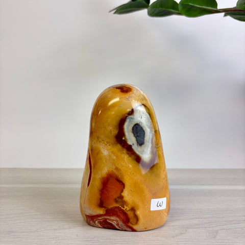 Polychrome Jasper Free Form