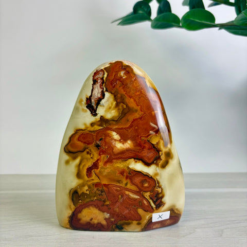 Polychrome Jasper Free Form