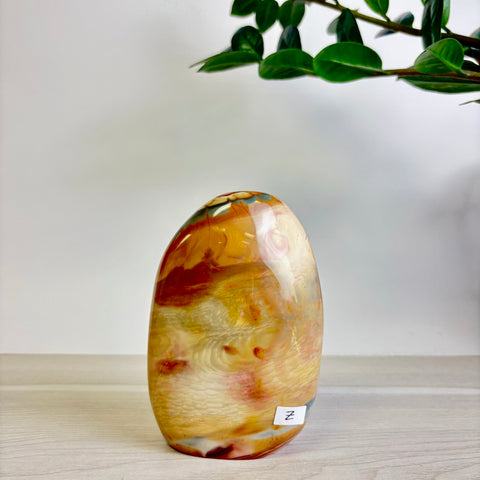 Polychrome Jasper Free Form