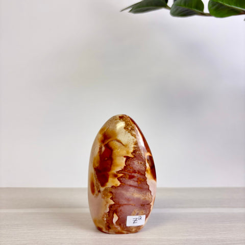 Polychrome Jasper Free Form