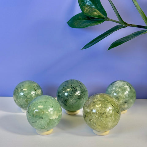 Five translucent green Prehnite spheres with black tourmaline inclusions on white stands.